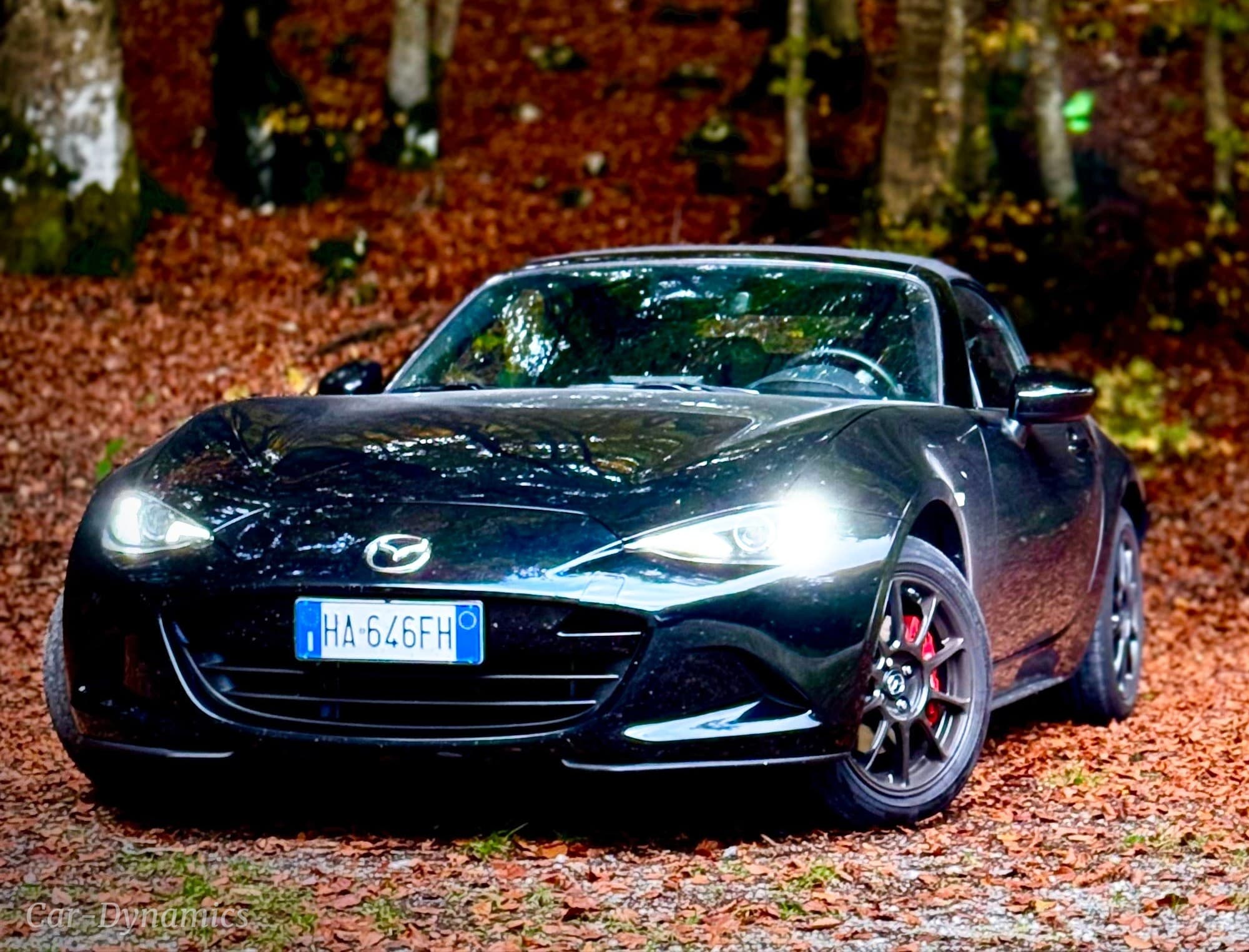 Mazda MX-5 foliage